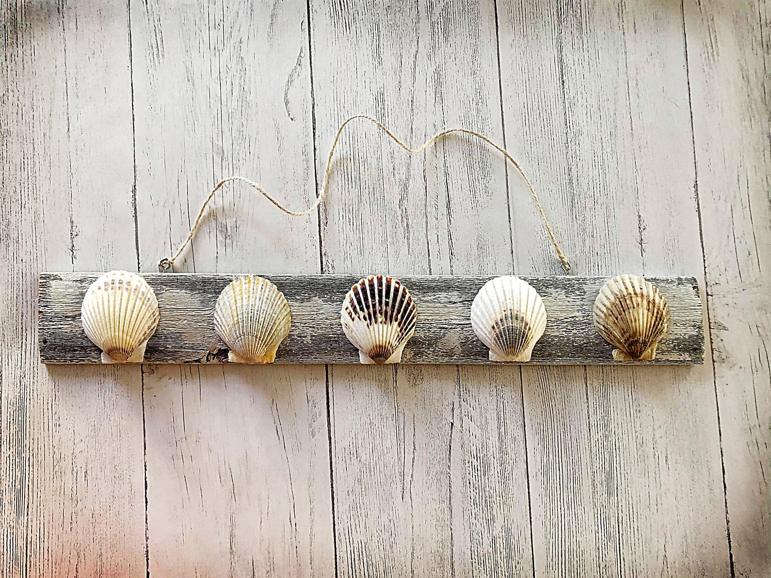 Nautical Wall Art Scallop Shell Wall Art Etsy