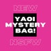 YAOI Mystery Bag: NSFW 18+ 