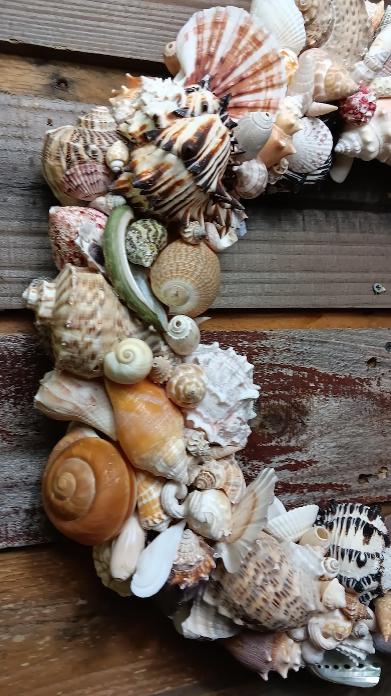 Handmade Seashell Wreath: Coastal Beach House Decor - Etsy