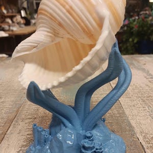 Coastal Seashell Holder | Hand Painted 3D Printed Display Stand | Beachcomber Gift, Ocean Inspired Home Décor, Nautical Shell Display