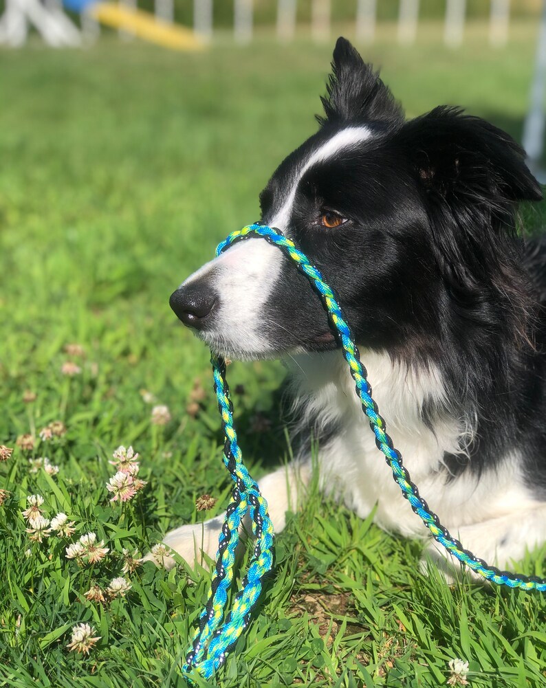 Fully Customizable Dog Leash Etsy