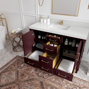 Aberdeen 48 in. W x 22 in. D Single Sink Bathroom Vanity in Burgundy with Quartz or Marble Countertop | MODERN VANITY | PREMIUM Q image 6