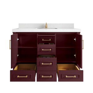 Aberdeen 48 in. W x 22 in. D Single Sink Bathroom Vanity in Burgundy with Quartz or Marble Countertop | MODERN VANITY | PREMIUM Q image 2