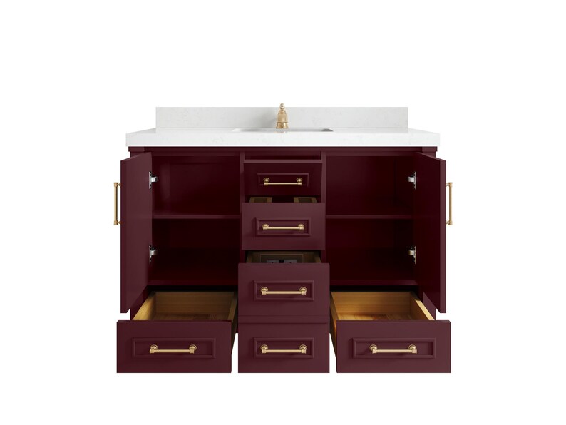 Aberdeen 48 in. W x 22 in. D Single Sink Bathroom Vanity in Burgundy with Quartz or Marble Countertop | MODERN VANITY | PREMIUM Q image 2