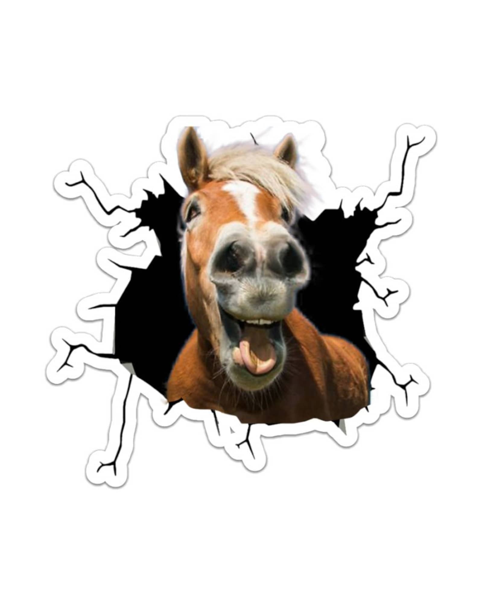 Horse Funny Sticker Laptop Decals Bumper Stickers Sticker | Etsy