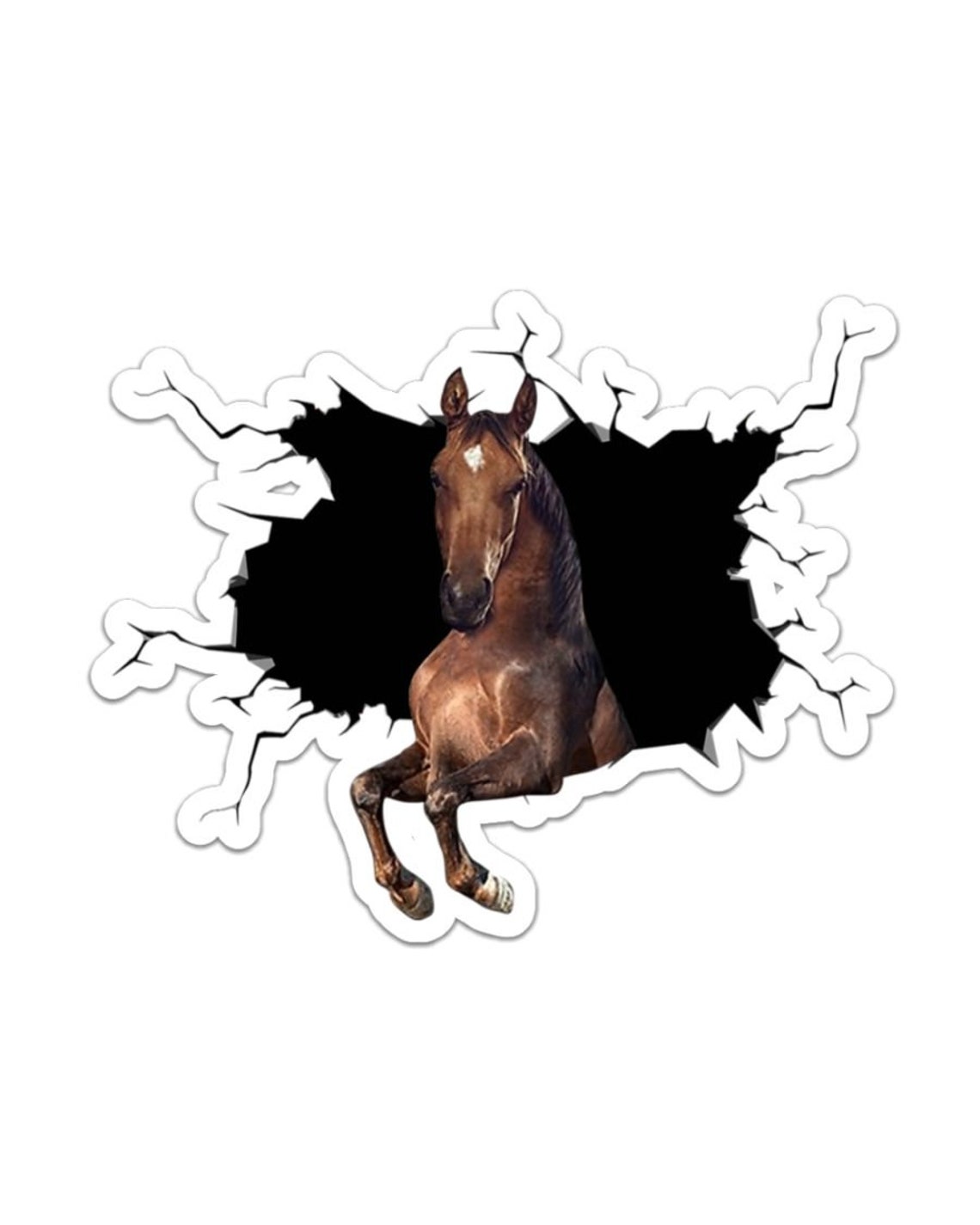 Horse Sticker Bumper Stickers Laptop Sticker Sticker Pack Etsy