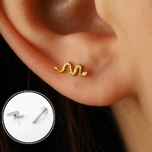 May include: A gold-colored snake-shaped earring is shown on an ear. The earring is a small, detailed representation of a snake. The image also shows the back of the earring and a separate post.