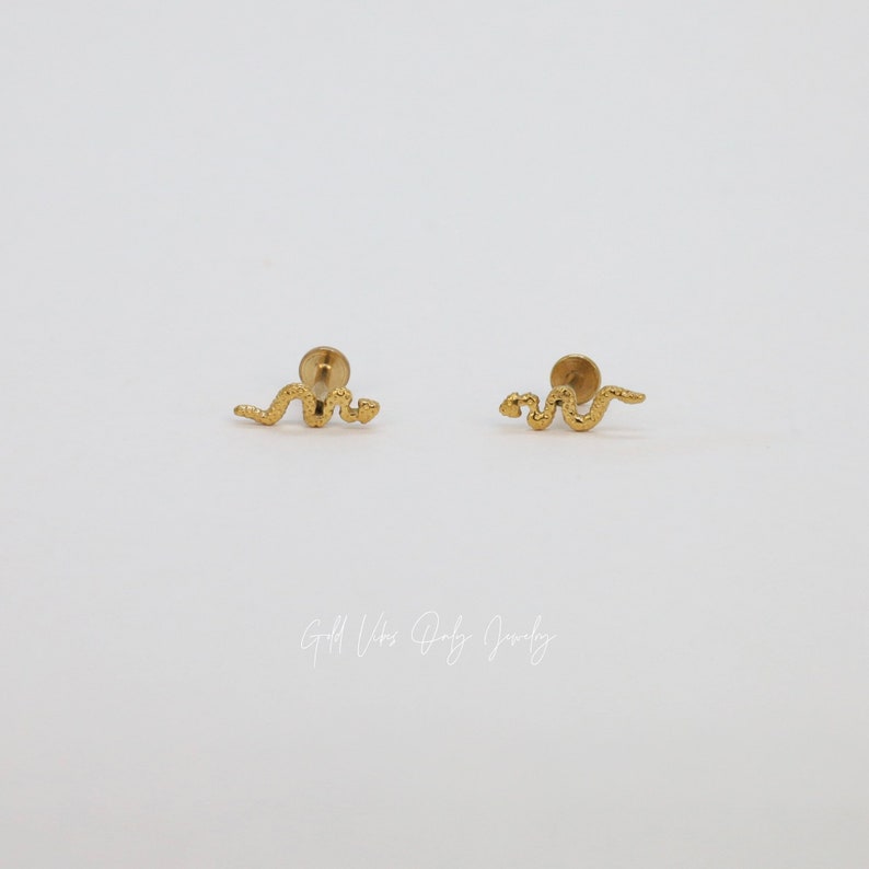 May include: A pair of gold snake stud earrings. The earrings are small and delicate, and they feature a detailed snake design.