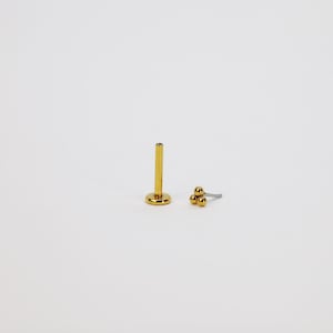 Boucles d'oreilles sans filetage labret à dos plat 16G/18G/20G Titane Sans nickel • Conque Tragus Labret Helix • Boucles d'oreilles de tous les jours