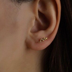 May include: A close-up of a person's ear with a small gold snake earring. The snake is curled up and has a small head.