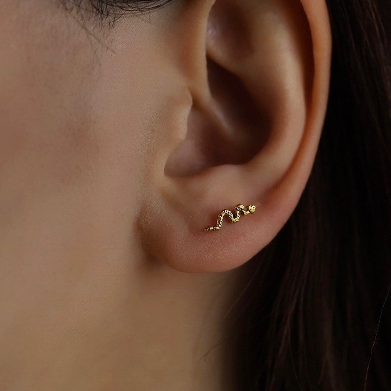 May include: A close-up of a person's ear with a small gold snake earring. The snake is curled up and has a small head.