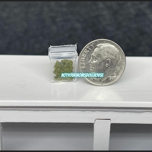 The “Dime Bag” Dollhouse Miniature Baggie