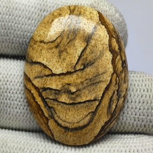 Picture Jasper Cabochon: Natural Gemstone Pendant (36X27X6 MM, 45Cts)