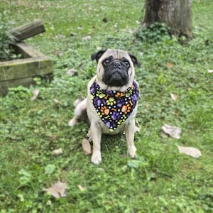 Dog bandana large dog bandana small bandana cute dog bandana rainbow paw bandana