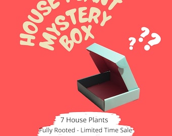 House Plant Mystery Box | Indoor Plants Gift Box | Plant Lover Gift | Mystery Plant Gift Box for Her | Tropical Plants | Philodendron