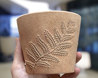 May include: A terracotta planter featuring a fern design. The planter is a light brown colour and has a rough texture.