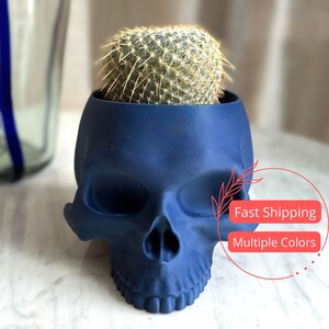 3D Printed Skull Planter with Drainage | Plant Pot with Drainage Hole | Planters and Pots | Flower Pot | Pots for Houseplants | Succulents