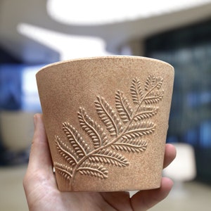 Fossilized Planter Pots with Drainage Set | Glazed Planters and Pots Indoor | Planter with Saucer | Indoor Ceramic Plant Pots with Drainage