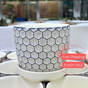 Honeycomb Planter Pots with Drainage Set | Glazed Planters and Pots Indoor | Planter with Saucer | Indoor Ceramic Plant Pots with Drainage