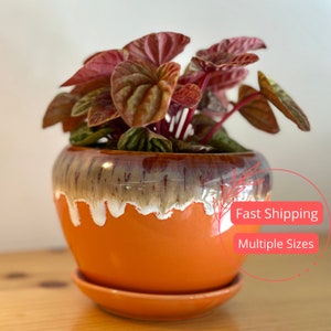 Orange Glazed Planter with Attached Saucer | Plant Pot with Drainage | Planters and Pots | Flower Pot | Ceramic Indoor | Pot for Houseplants