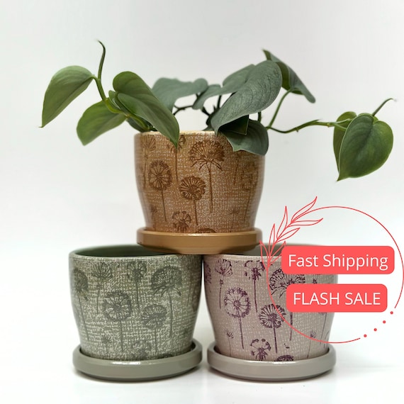 Dandelion Planter Pots with Drainage Set | Glazed Planters and Pots Indoor | Planter with Saucer | Floral Ceramic Plant Pots with Drainage