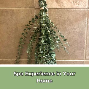K&ouml;nnte beinhalten: Ein Bund Eukalyptusbl&auml;tter h&auml;ngt an einer gekachelten Wand. Der Text "Spa Experience in Your Home" befindet sich am unteren Rand des Bildes.