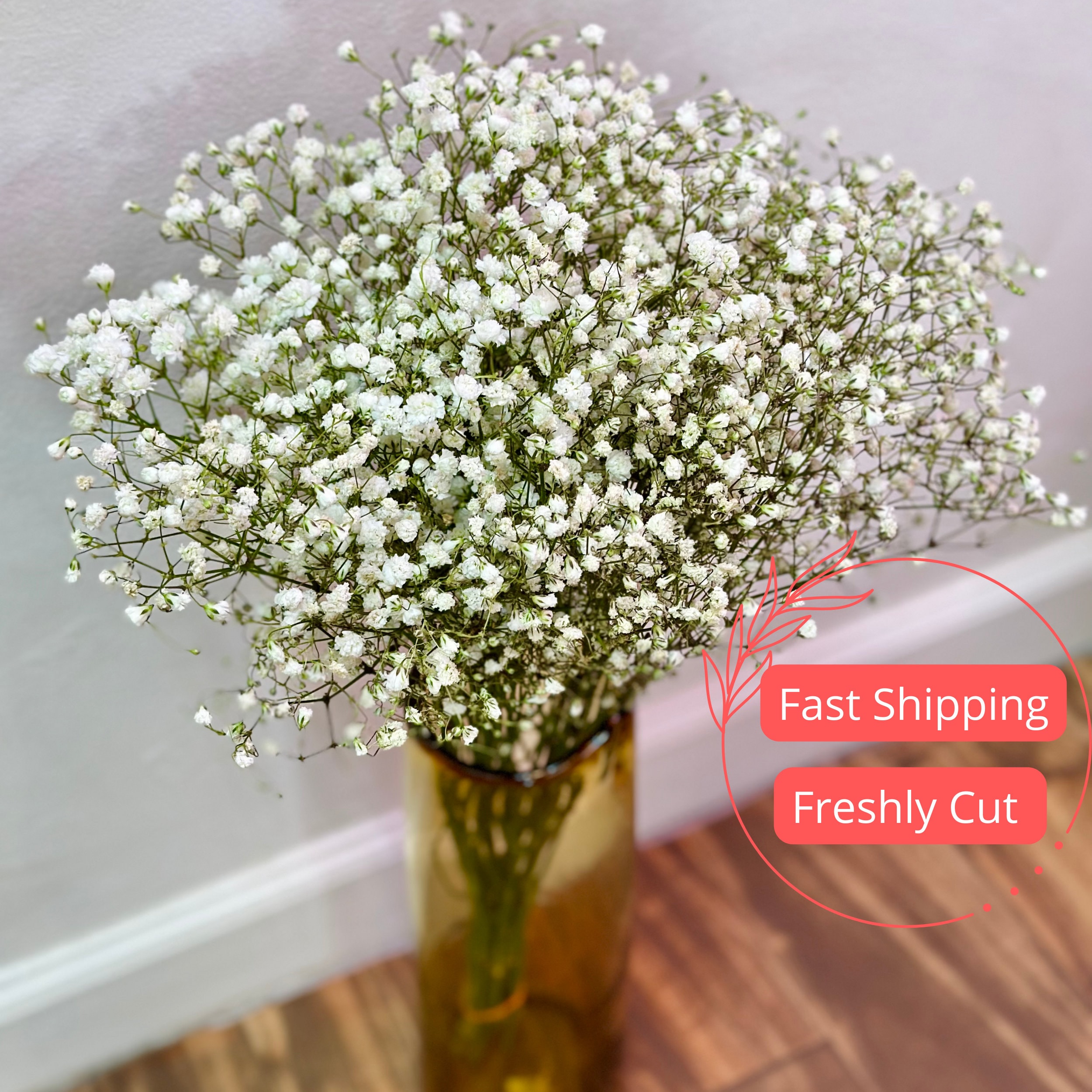 Fake baby breath deals