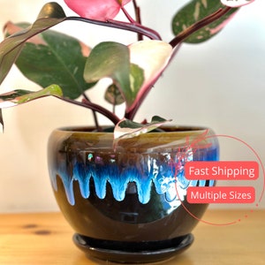 Black Glazed Planter with Attached Saucer | Plant Pot with Drainage | Planters and Pots | Flower Pot | Ceramic Indoor | Pots for Houseplants