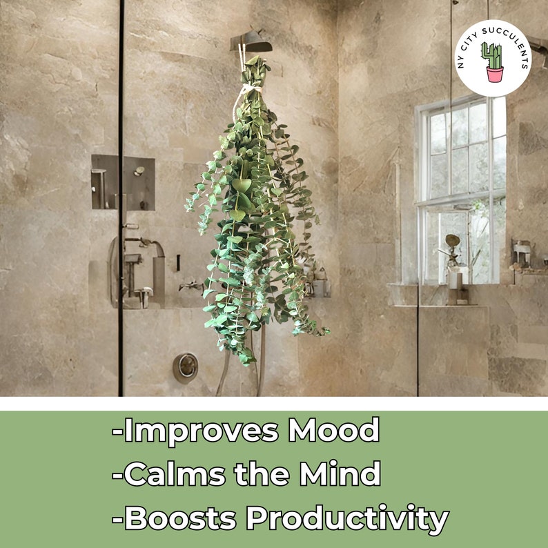 Eucalyptus shower bundle hanging in bathroom home decor