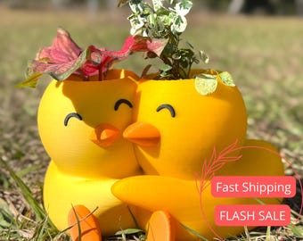 Duckie and Duck Indoor Planter Pots | 3D Printed Plant Pot | Key Holder for Entryway | Flower Pot | Cute Planters for Houseplants | Gifts