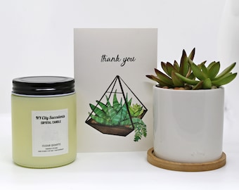 Thank You Bundle | Succulent | Crystal Candle | Soy Wax Candle | Ceramic Pot | Self-Care Gift | Gifts for Her |