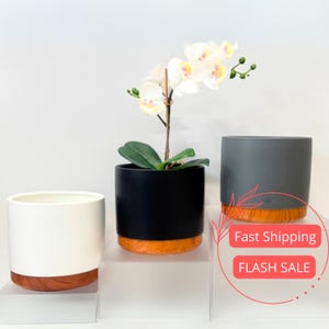 May include: Three ceramic planters in white, black, and gray, each with a wooden base. The black planter holds an orchid with white and yellow flowers. The planters are cylindrical and sit on a clear surface.
