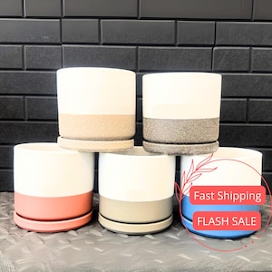 May include: A collection of five ceramic plant pots in various colors. Each pot has a white upper section and a colored lower section, with a matching saucer. Colors include beige, gray, pink, tan, and blue. The pots are cylindrical and modern in design.