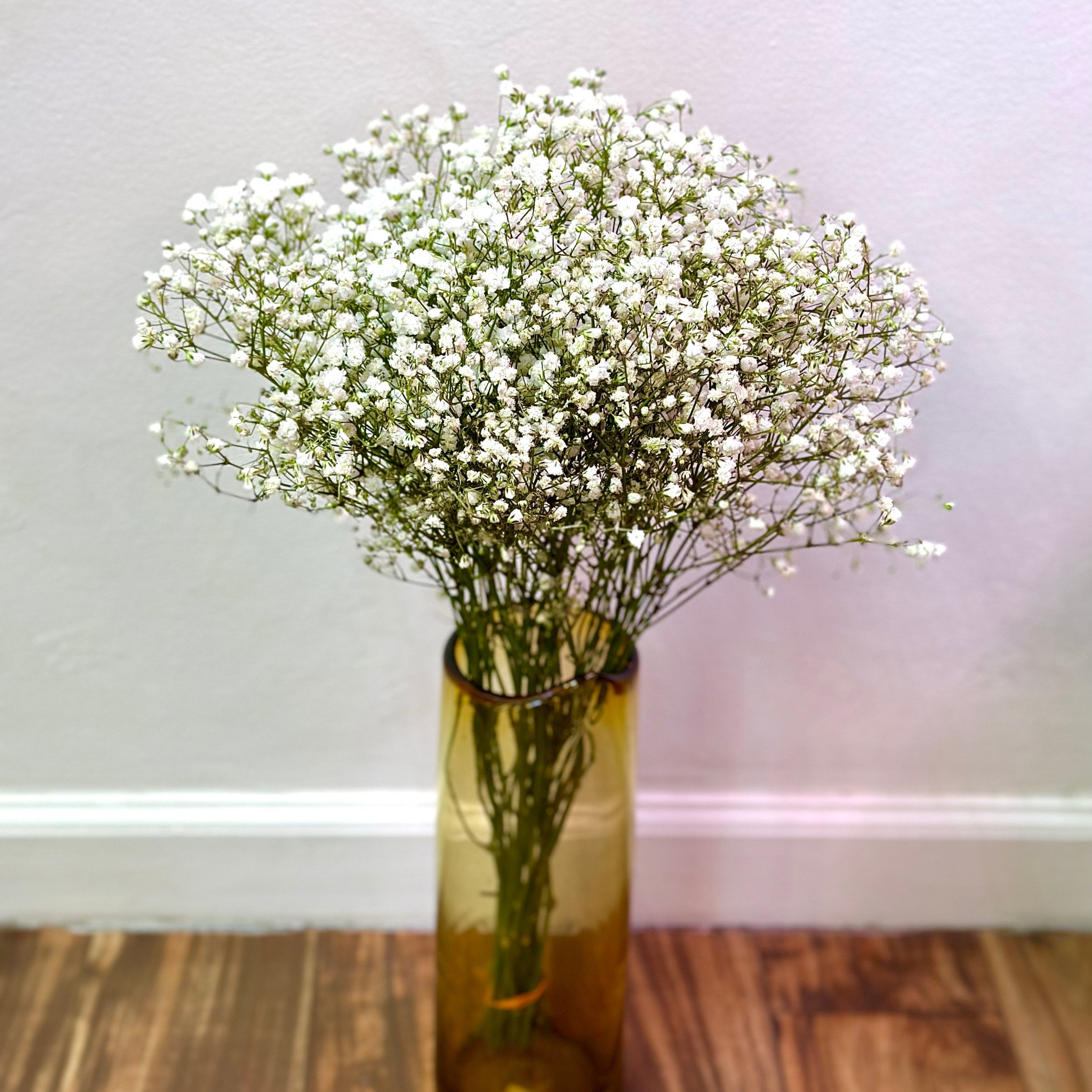 Gyp Million Star - Baby's Breath Bunch in Orlando, FL - Artistic East  Orlando Florist