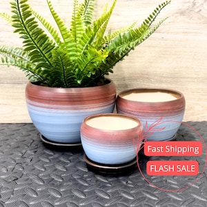 May include: Set of three ceramic plant pots in varying sizes. The pots feature a color gradient, transitioning from a reddish-brown top to a light blue base. Each pot sits on a matching black saucer. The pots are filled with green plants.