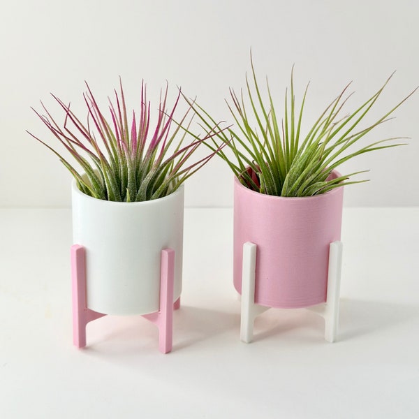 Air Plants and Air Plant Holder Pot Set for Valentines Day | Cute Tillandsia Plant Holder Planter Pot with Plant Stand | Plant Lover Gifts