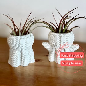 May include: Two white ceramic ghost planters with air plants. The planters have a knitted texture and are shaped like ghosts with eyes and mouths.