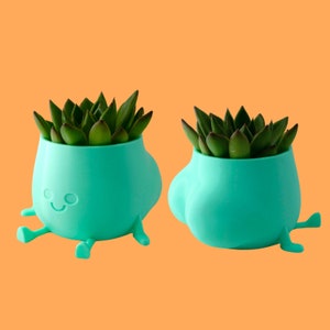 May include: Two turquoise succulent planters with legs and a smiling face. The planters are filled with green succulents.