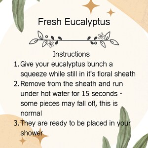K&ouml;nnte beinhalten: Anleitung zur Vorbereitung von frischem Eukalyptus f&uuml;r die Verwendung in einer Dusche. Der Text lautet: "@NYCITYSUCCULENTS Frischer Eukalyptus Anleitung 1. Dr&uuml;cken Sie Ihren Eukalyptusstrau&szlig; zusammen, w&auml;hrend er sich noch in seiner Bl&uuml;tenh&uuml;lle befindet 2. Entfernen Sie ihn aus der H&uuml;lle und lassen Sie ihn 15 Sekunden lang unter hei&szlig;em Wasser laufen - einige Teile k&ouml;nnen abfallen, das ist normal 3. Sie sind bereit, in Ihre Dusche gelegt zu werden"