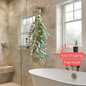 Eucalyptus Shower Bundle