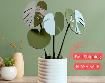 Monstera Albo Coaster and Planter Pot Set | Albino Monstera Indoor Houseplant Coasters | 3D Print Drinkware Monstera Plants with Flower Pot