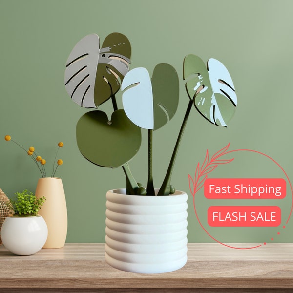 Monstera Albo Coaster and Planter Pot Set | Albino Monstera Indoor Houseplant Coasters | 3D Print Drinkware Monstera Plants with Flower Pot