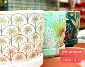 May include: Three ceramic plant pots with various designs. The first pot is white with a gold palm tree pattern. The second pot is light green with a tropical leaf design. The third pot is dark green with a floral pattern.