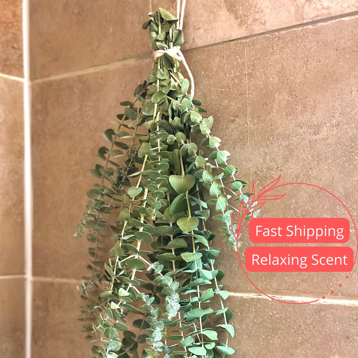 Fresh Eucalyptus Shower Bundle Eucalyptus Plant Fresh - Etsy