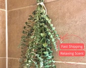 Fresh Eucalyptus Shower Bundle | Eucalyptus Plant | Fresh Eucalyptus | Eucalyptus Shower Bundle | Plants | Aromatherapy | Stress Relief Gift