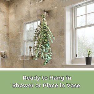 K&ouml;nnte beinhalten: Ein Bund getrockneter Eukalyptusbl&auml;tter, der in einem Badezimmer h&auml;ngt. Die Bl&auml;tter sind hellgr&uuml;n und mit einer Schnur zusammengebunden. Der Text "Ready to Hang in Shower or Place in Vase" wird am unteren Rand des Bildes angezeigt.