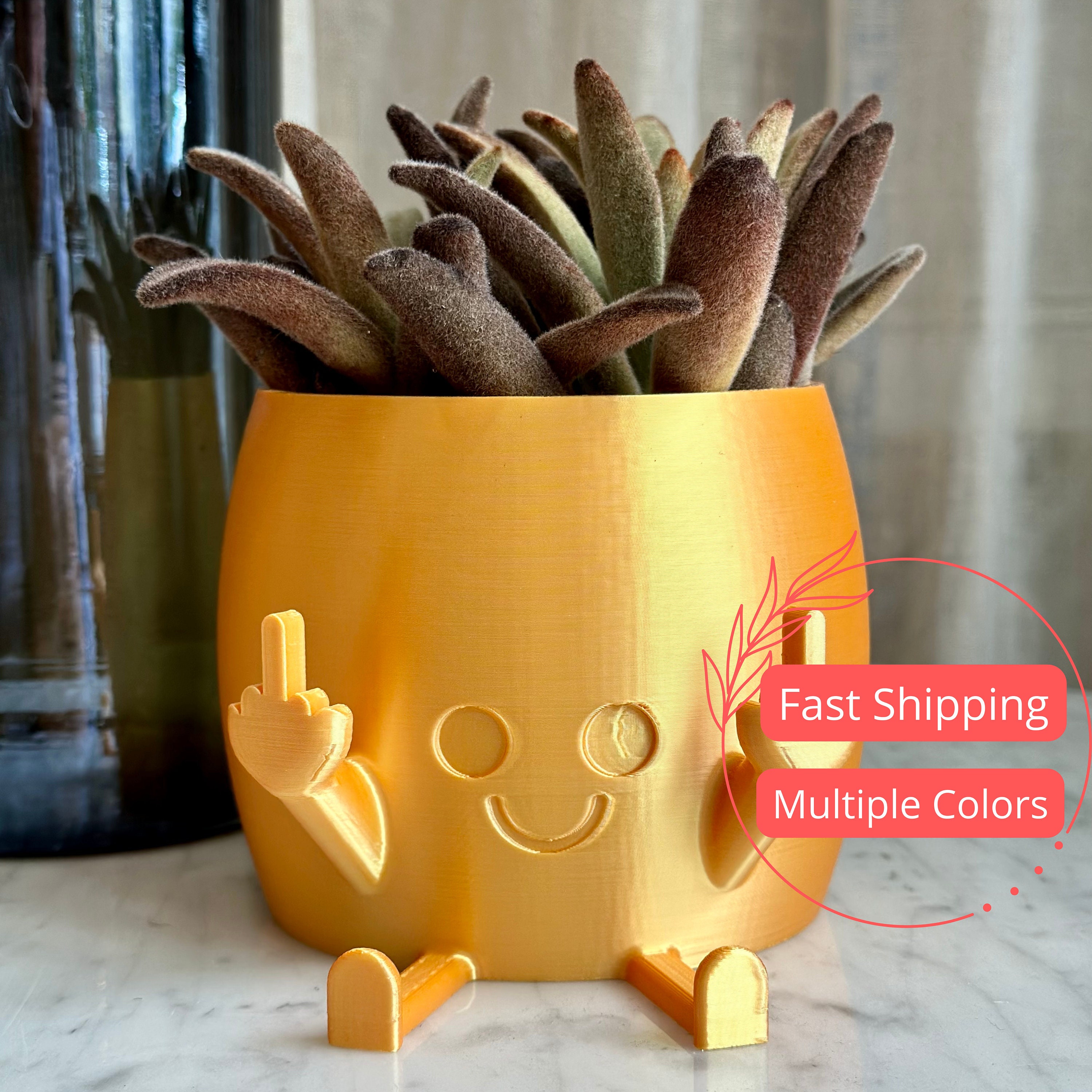 Smiling Plant Pot with Middle Fingers Up, Unique Cute Flower Pots for  Succulents Middle Finger, Novelty Planter Holds Small Plants, Funny  Expression