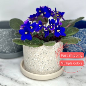 Cement Planter Pots with Drainage 4&quot; | Glazed Planters and Pots Indoor | Planters with Saucers | Indoor Ceramic Plant Pots with Drainage