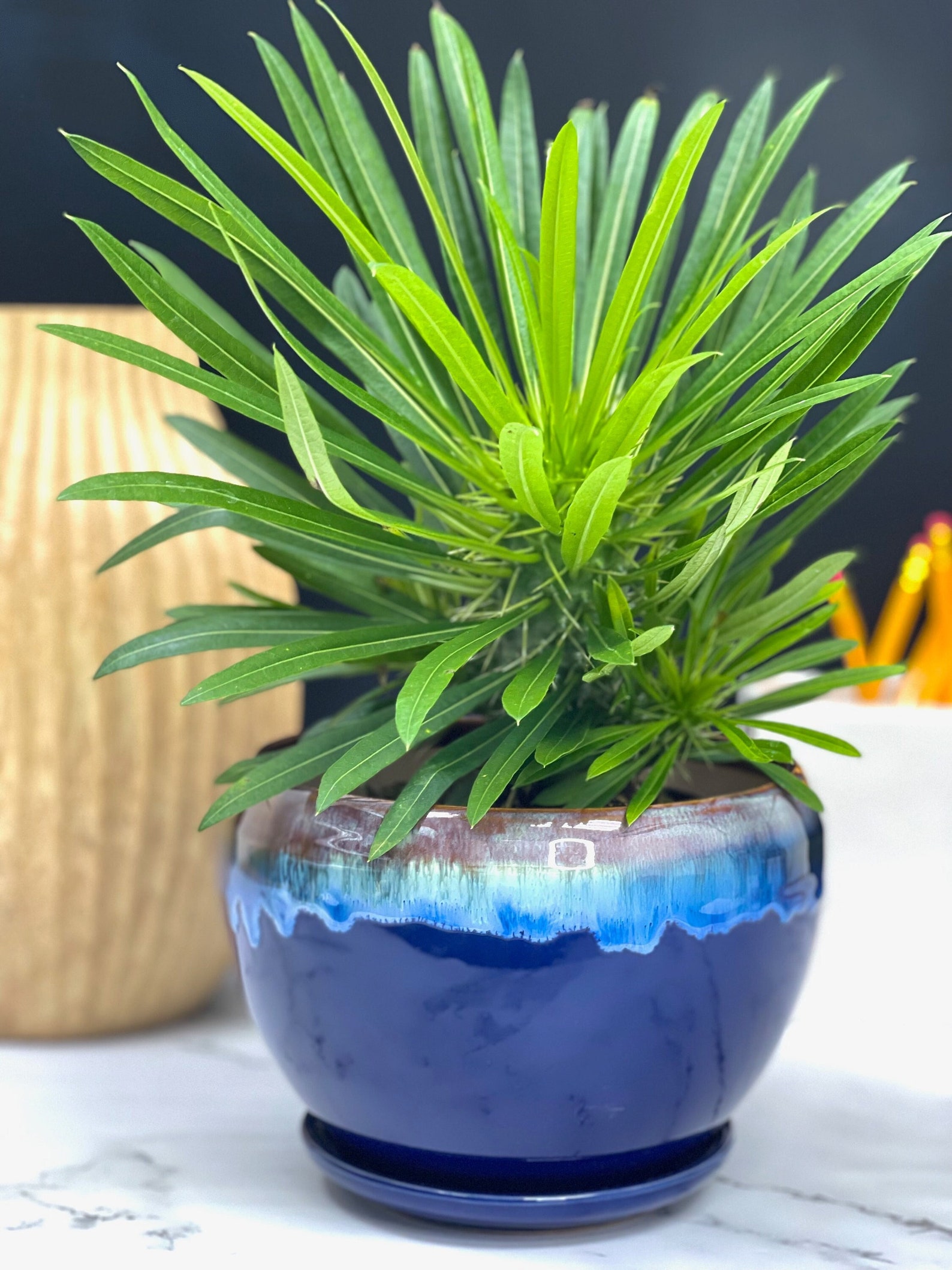Dark Blue Glazed Planter With Attached Saucer Drip Pot With Etsy
