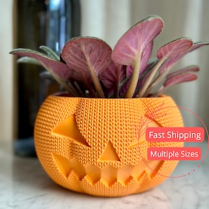 May include: Orange pumpkin-shaped planter with a carved jack-o'-lantern face. The planter is made of a textured material and has a small plant with pink leaves growing inside.